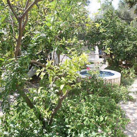 Villa Aphrodite Nissaki Nisaki  Екстериор снимка